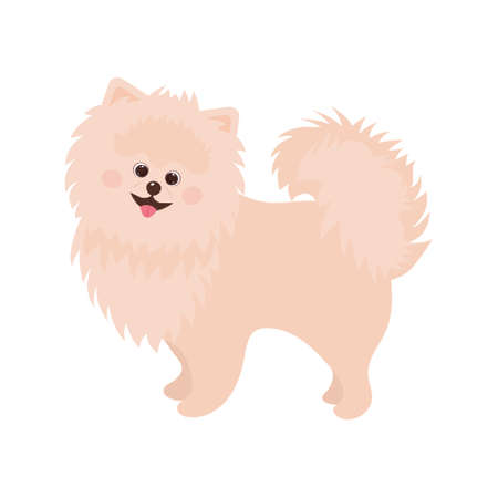 fluffy spitz dog. cute cartoon character. vector illustration.のイラスト素材