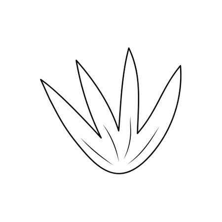 Hand drawn plant in line art doodle style. Botanical decorative element.のイラスト素材