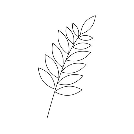 Hand drawn twig in line art doodle style. Botanical decorative element.のイラスト素材