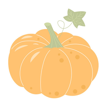 Pastel boho pumpkin isolated on white background. Thanksgiving Day, Harvest festival, Halloween symbol.のイラスト素材