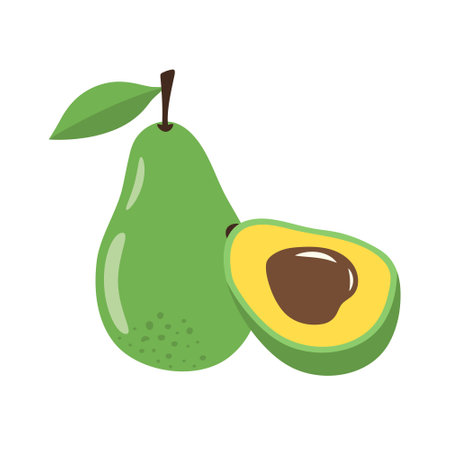 Fresh whole and half avocado. Avocado fruit icon. Cartoon flat illustration isolated on white background.のイラスト素材