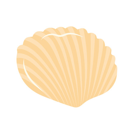 Seashell. Scallop. Cartoon flat illustration isolated on white background.のイラスト素材