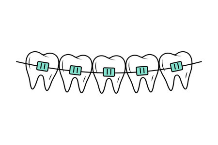 Teeth with braces in doodle style. Corrective Orthodontics. Dental care. Linear vector illustration.のイラスト素材