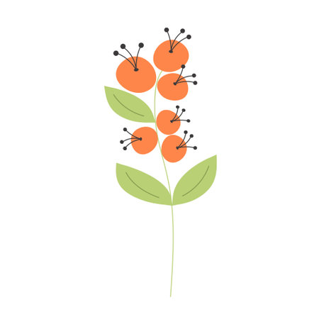 Sprig of berries. Springtime, summer concept. Vector illustration isolated on white background.のイラスト素材