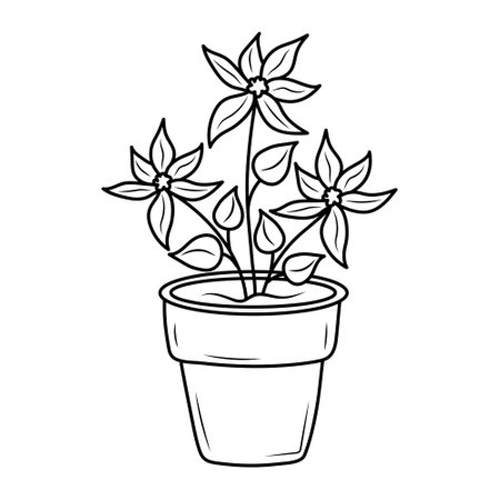 Indoor home plant with flowers in a pot. Line art doodle houseplant. Coloring book for kids.のイラスト素材