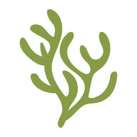 Algae. Underwater life coral. Abstract Seaweed Shape. Aesthetic Element.