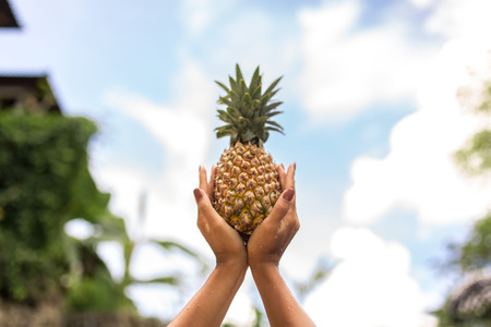 Holding a pineapple in hands on sky backgroudの写真素材