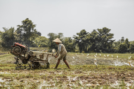 man plows the field with big a motor-blockのeditorial素材