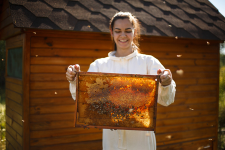 Young female beekeeper hold wooden frame with honeycomb. Collect honey. Beekeeping concept.の写真素材