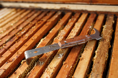 Beekeeper tool lays on opened wooden beehive. Collect honey. Beekeeping concept.