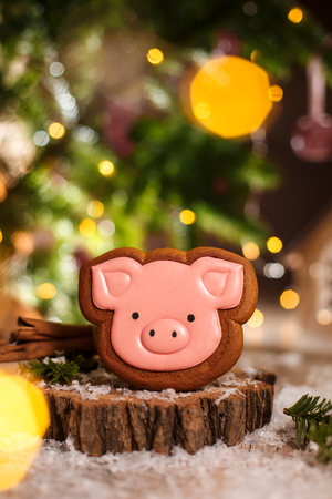 Holiday traditional food bakery. Gingerbread pink pig head in cozy warm decoration with garland lights.の写真素材