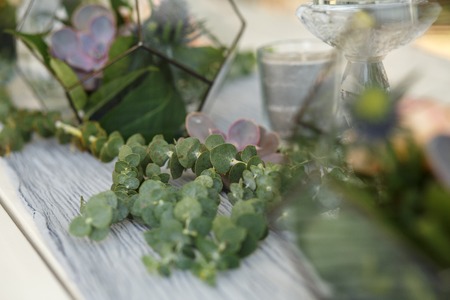 Florarium with fresh succulent and rose flowers festive table decoration. Event fresh flowers decoration. Florist workflow. Wedding banquet design.の写真素材