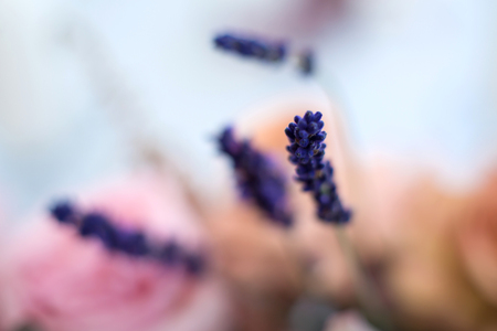 Macro purple spike fresh flower. wedding fresh flowers decoration.の写真素材