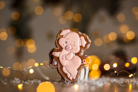 Holiday traditional food bakery. Gingerbread funny piggy in cozy warm decoration with garland lights.の写真素材