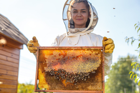 Young female beekeeper hold wooden frame with honeycomb. Collect honey. Beekeeping concept.の写真素材