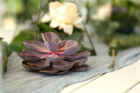 Florarium with fresh succulent and rose flowers festive table decoration. Event fresh flowers decoration. Florist workflow. Wedding ceremony design.の写真素材