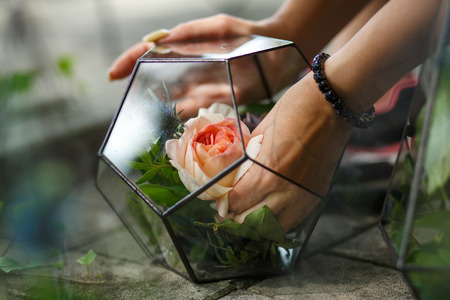 Florarium with fresh succulent flowers. Event fresh flowers decoration. Florist workflow. Wedding banquet design.の写真素材