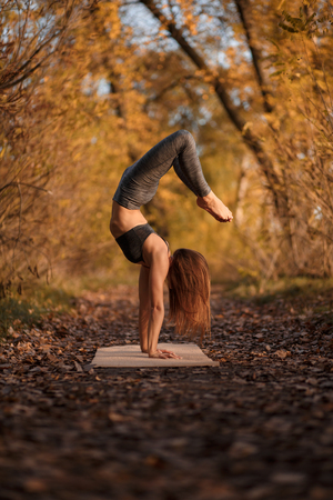 Young woman practicing yoga exercise in autumn park with yellow leaves. Sports and recreation lifestyle.の写真素材