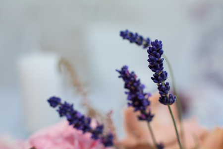 Macro purple spike fresh flower. wedding fresh flowers decoration.の写真素材
