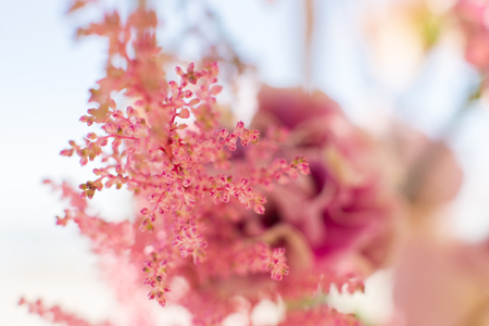 close up astilbe fresh flowers with blurred background. Event decoration with fresh flowers.の写真素材