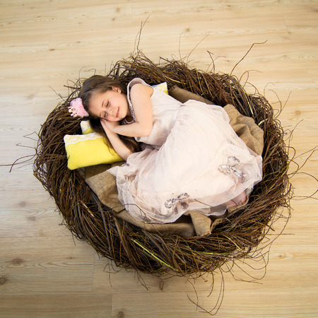 Cute little girl in a pink dress and a pink crown is sleeping in a big nest and sees fabulous dreams.の写真素材