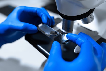 man in blue gloves install glass with material for research into microscope.の写真素材