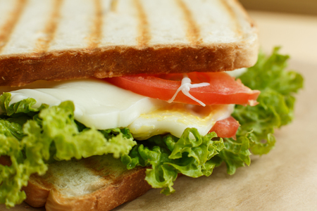 Closeup juicy sandwich with bacon, fresh vegetables, green salad and dark lines after grill.の写真素材