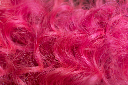 Pink hair, close-up stylish afro spiral curly hairstyle.の写真素材