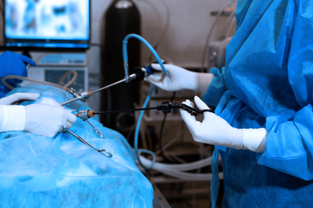 Vet doing the operation for sterilization. The cat on the operating table in a veterinary clinic. Cat in a veterinary surgery , the uterus and ovaries of a cat during surgery.の写真素材