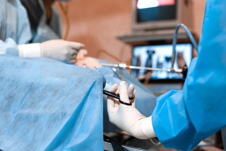 Vet doing the operation for sterilization. The cat on the operating table in a veterinary clinic. Cat in a veterinary surgery , the uterus and ovaries of a cat during surgery.の写真素材
