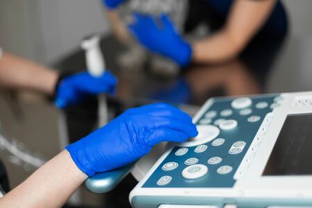 A veterinarian does an ultrasound of the dog's eye in the office. Male doctor's hand on an...