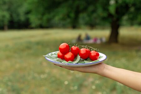 Woman hold plate with fresh tomatoes. Vegetables plate for picnic at forest background.の写真素材