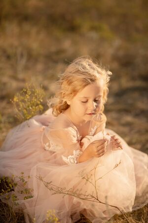 Portrait of a beautiful little princess girl in a pink dress. Posing in a field at sunset.の写真素材