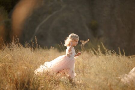 Portrait of a beautiful little princess girl in a pink dress. Posing in a field at sunset.の写真素材