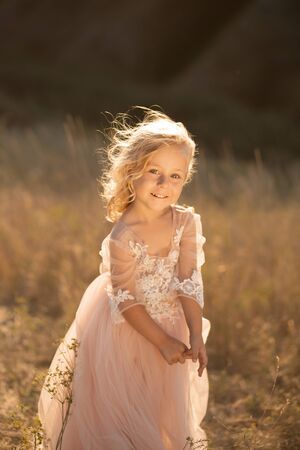 Portrait of a beautiful little princess girl in a pink dress. Posing in a field at sunset.の写真素材