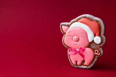 gingerbread cookie of cute pink pig on red background. Traditional Christmas food. Christmas and New Year holiday concept. Copyspace.の写真素材