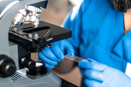 Male laboratory assistant examining biomaterial samples in a microscope. Cllose up hands in blue rubber gloves adjust microscope.の写真素材