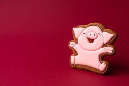 gingerbread cookie of round snowman on red background. Traditional Christmas food. Christmas and New Year holiday concept.ava gingerbread cookie of cute pink pig on red background. Traditional Christmas food. Christmas and New Year holiday concept. Copyspace.の写真素材