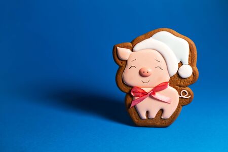 gingerbread cookie of cute pink pig on blue background. Traditional Christmas food. Christmas and New Year holiday concept. Copyspace.の写真素材