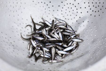 A lot of small fish in a metal sieve.の写真素材