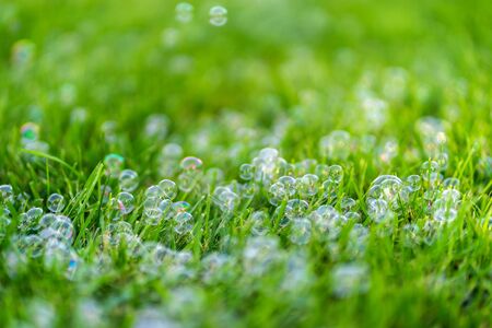 Soap bubbles on the green grass. Summer day fun.の写真素材