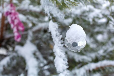 Winter, it is snowing. Festive decorations hang on the branches of a Christmas tree, covered in snow. Decorated Christmas tree on the street in the afternoonの写真素材