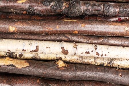 Chopped firewood logs in rows. Wood texture.