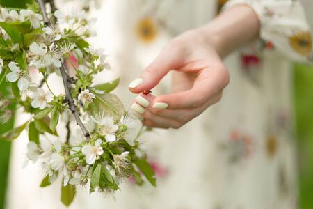 A tender girl walks in a flowering garden. Nature beauty.の写真素材