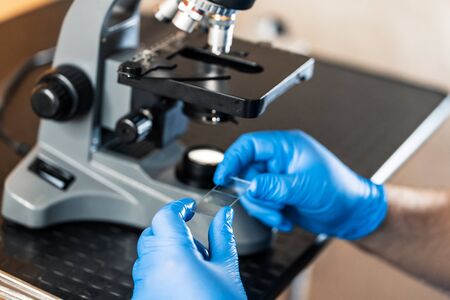 Male laboratory assistant examining biomaterial samples in a microscope. Cllose up hands in blue...
