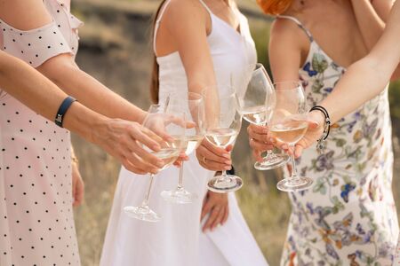 The company of female friends enjoys a summer picnic and raise glasses with wine.の写真素材