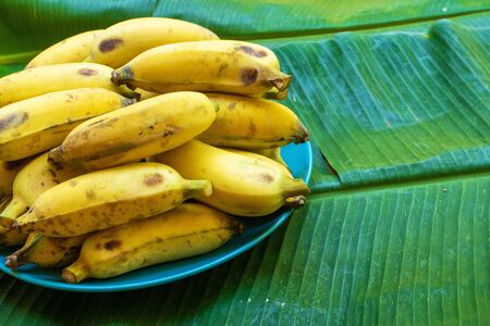 plate with ripe yellow bananas on a large yellow banana leaf.の写真素材