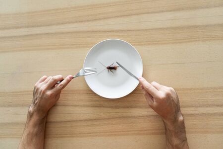 Top view, a man eating a cockroach. Cockroach in a white plate on the kitchen table. Strange taste preferences.の写真素材