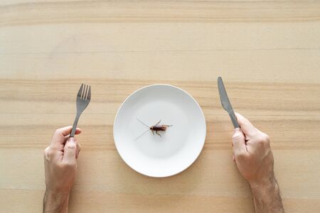 Top view, a man eating a cockroach. Cockroach in a white plate on the kitchen table. Strange taste preferences.の写真素材
