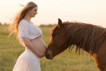 A pregnant girl in white communicates with a horse on a green meadow at sunset. Therapy and relaxation for pregnant women. Antistress therapy.の写真素材